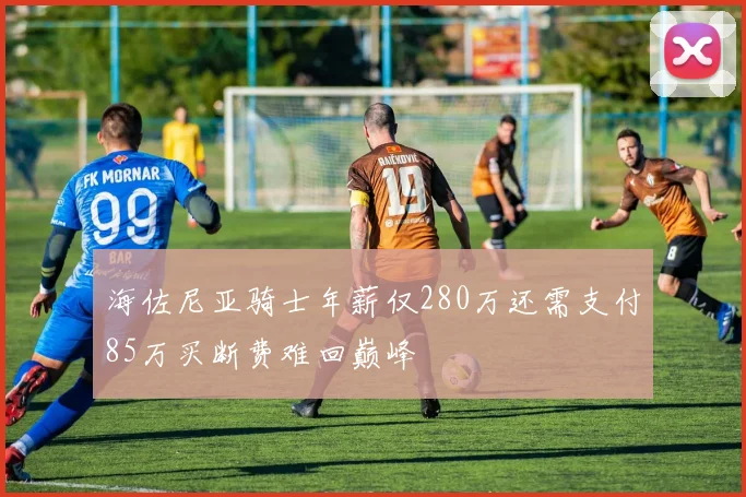 海佐尼亚骑士年薪仅280万还需支付85万买断费难回巅峰